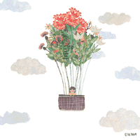 1.gif
